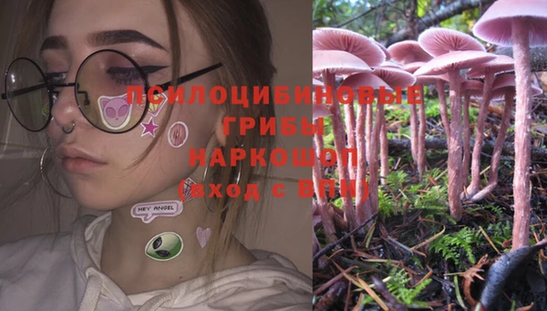 мдпв Верхний Тагил