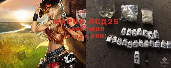 шишки Володарск