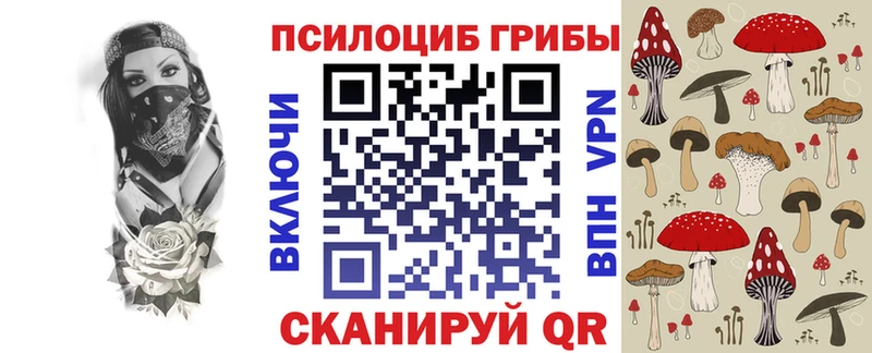 Псилоцибиновые грибы Magic Shrooms  хочу наркоту  Ветлуга 