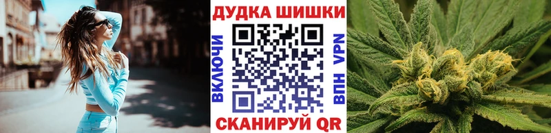 Бошки марихуана OG Kush  купить закладку  Ветлуга 